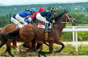 Horse race for the traditional prize Oaks in Pyatigorsk,the largest in Russia.